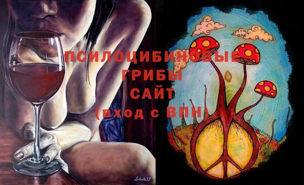 прущие грибы Алексин