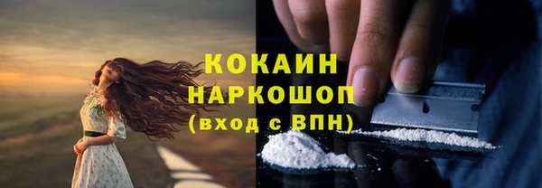 прущие грибы Алексин