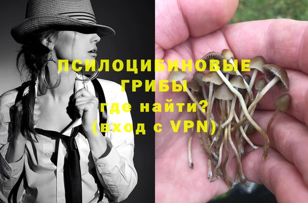 кокс Михайлов