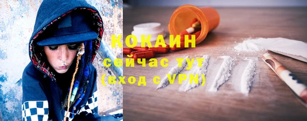 прущие грибы Алексин