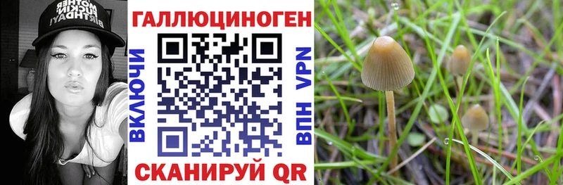 как найти   Александров  Галлюциногенные грибы мухоморы 