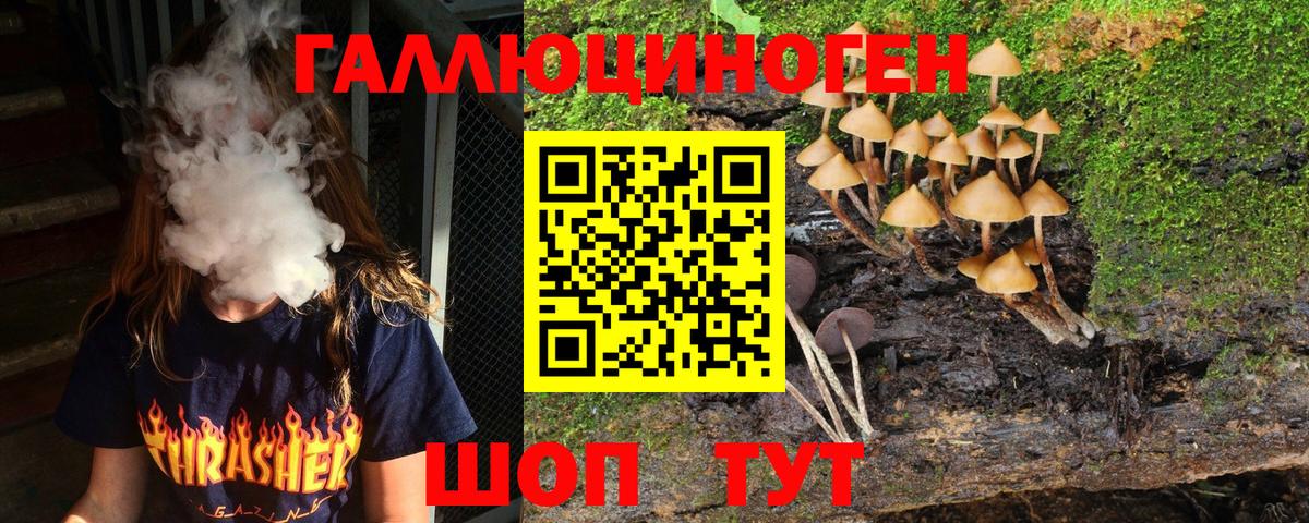 Галлюциногенные грибы прущие грибы  купить  цена  Александров  Вход с VPN 