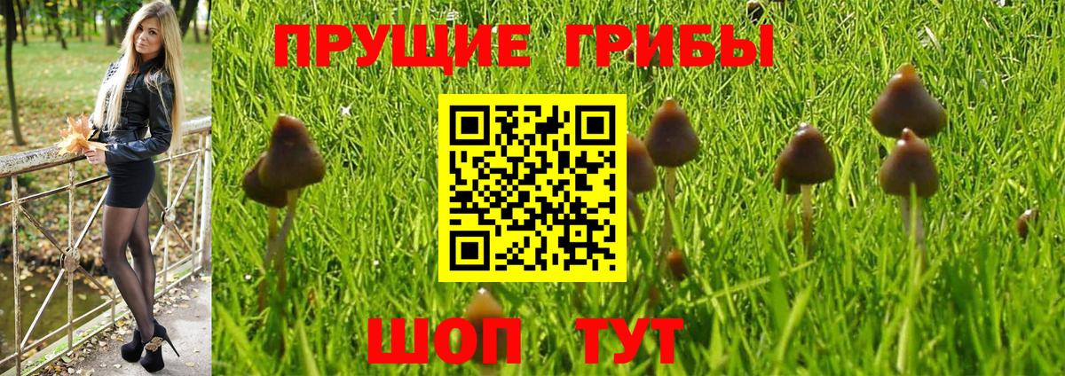Галлюциногенные грибы MAGIC MUSHROOMS  Псилоцибиновые грибы ЛСД  Вход с VPN  Александров 