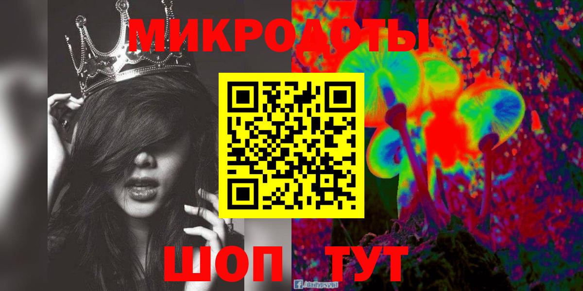 Псилоцибиновые грибы Psilocybine cubensis Александров