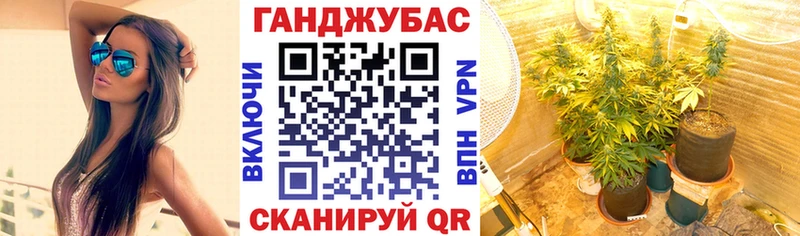 купить   Александров  kraken сайт  МАРИХУАНА конопля 